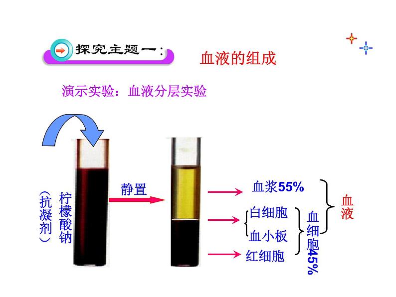 济南版七年级下册生物 3.1物质运输的载体 课件05