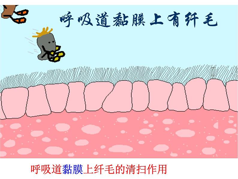 济南版七年级下册生物 6.1人体的免疫功能 课件第6页