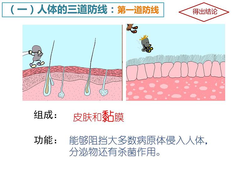 冀教版七年级下册生物 6.1 免疫 课件06