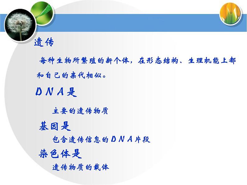 冀教版八年级下册生物  6.2.3遗传病与优生 课件第1页