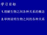 冀教版八年级下册生物  7.1.1环境对生物的影响 课件