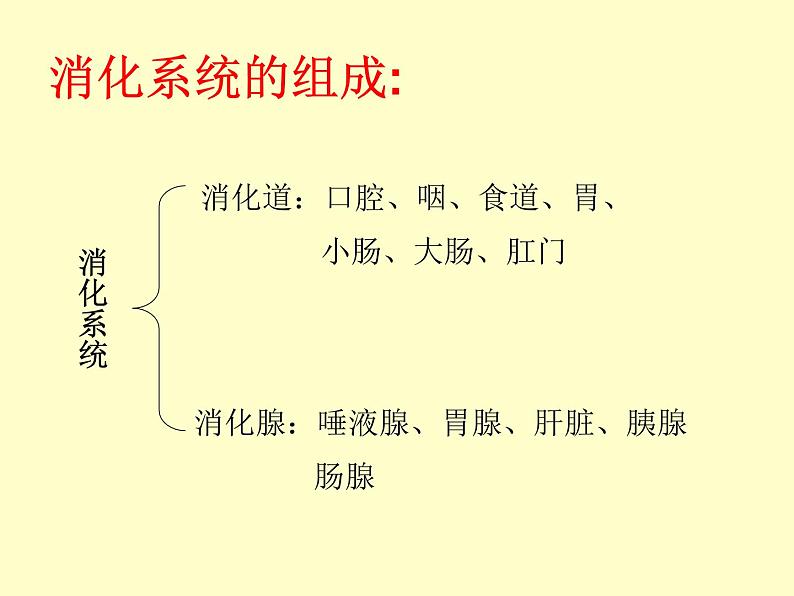 苏教版七年级下册生物 9.2人体的消化与吸收 课件第5页