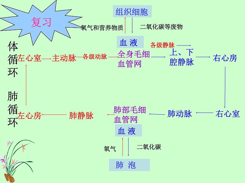 苏教版七年级下册生物 10.3人体和外界环境的气体交换 课件第1页