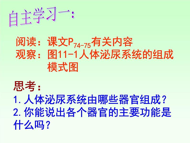 苏教版七年级下册生物 11.1人体泌尿系统的组成 课件04