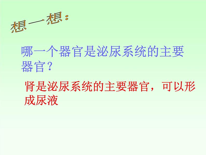 苏教版七年级下册生物 11.1人体泌尿系统的组成 课件07