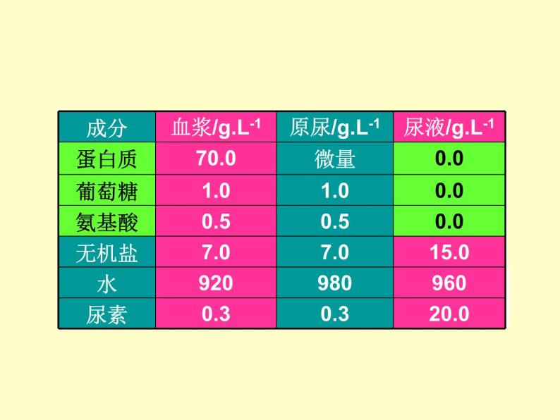 苏教版七年级下册生物 11.2人体废物的排出 课件04