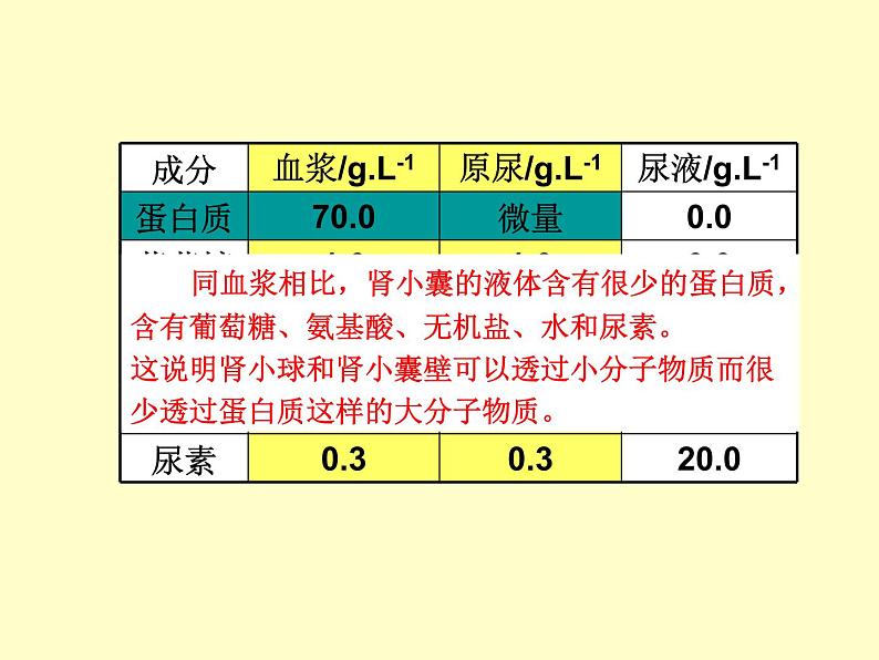 苏教版七年级下册生物 11.2人体废物的排出 课件05