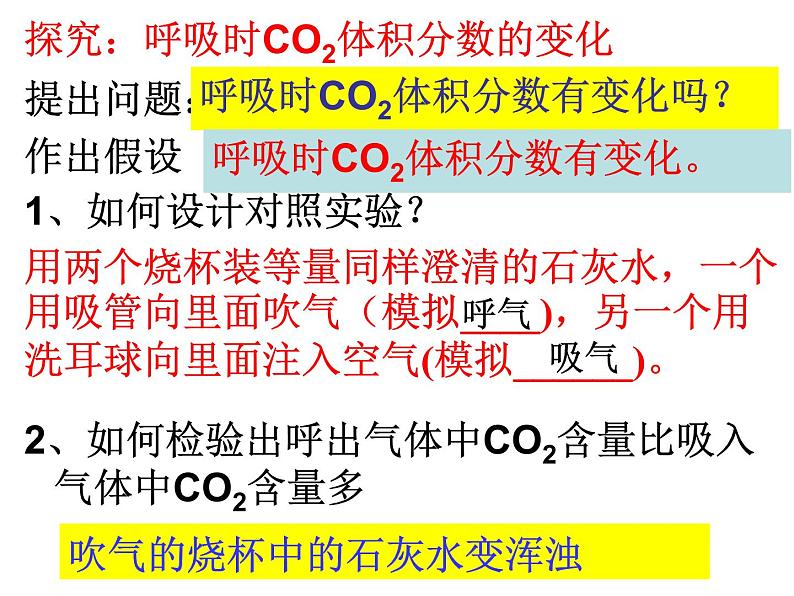 苏教版七年级下册生物 10.4人体内的气体交换 课件02