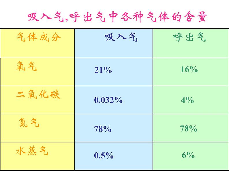 苏教版七年级下册生物 10.4人体内的气体交换 课件05