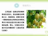 苏教版八年级下册生物 21.1生物的无性生殖 课件