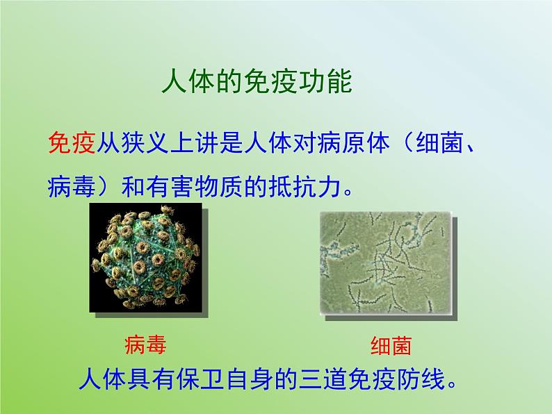 苏教版八年级下册生物 25.3免疫 课件03