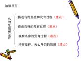 苏教版八年级下册生物 21.5鸟类的生殖与发育 课件