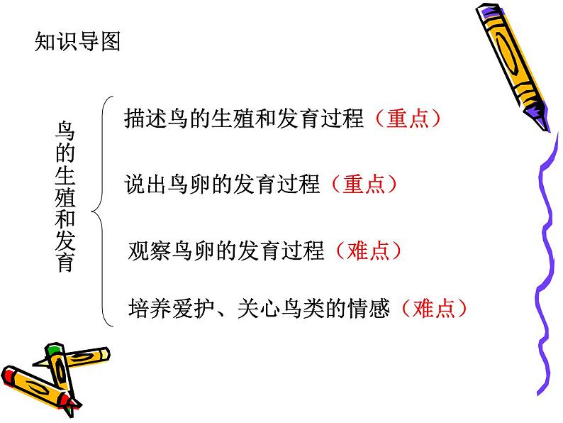 苏教版八年级下册生物 21.5鸟类的生殖与发育 课件03