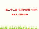 苏教版八年级下册生物 22.5生物的变异 课件