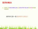 苏教版八年级下册生物 22.5生物的变异 课件