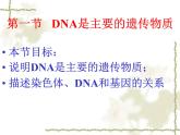 苏教版八年级下册生物 22.1DNA是主要的遗传物质 课件