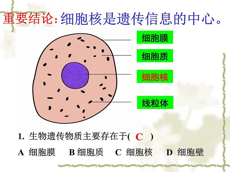 苏教版八年级下册生物 22.1DNA是主要的遗传物质 课件07