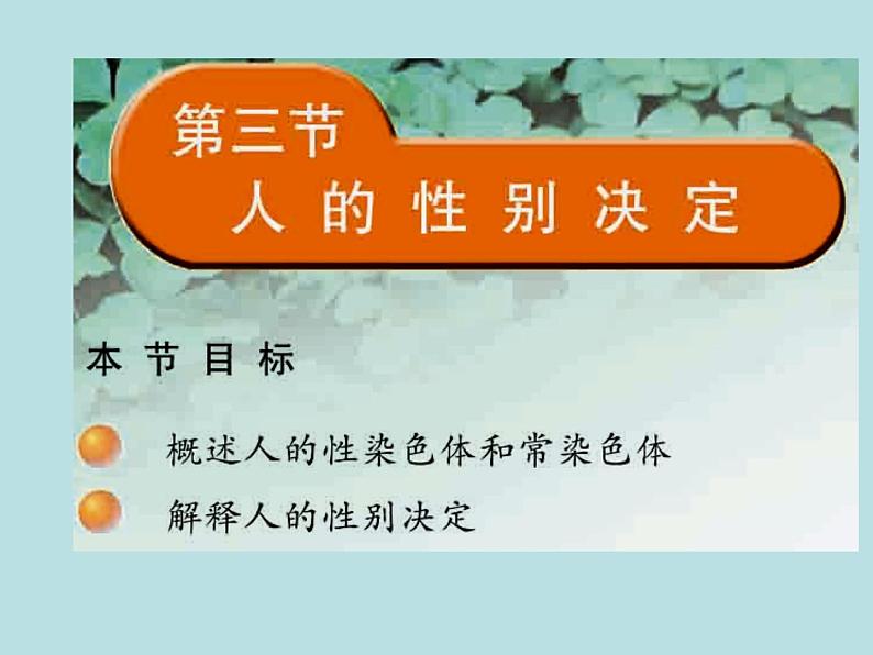 苏教版八年级下册生物 22.3人的性别决定 课件03