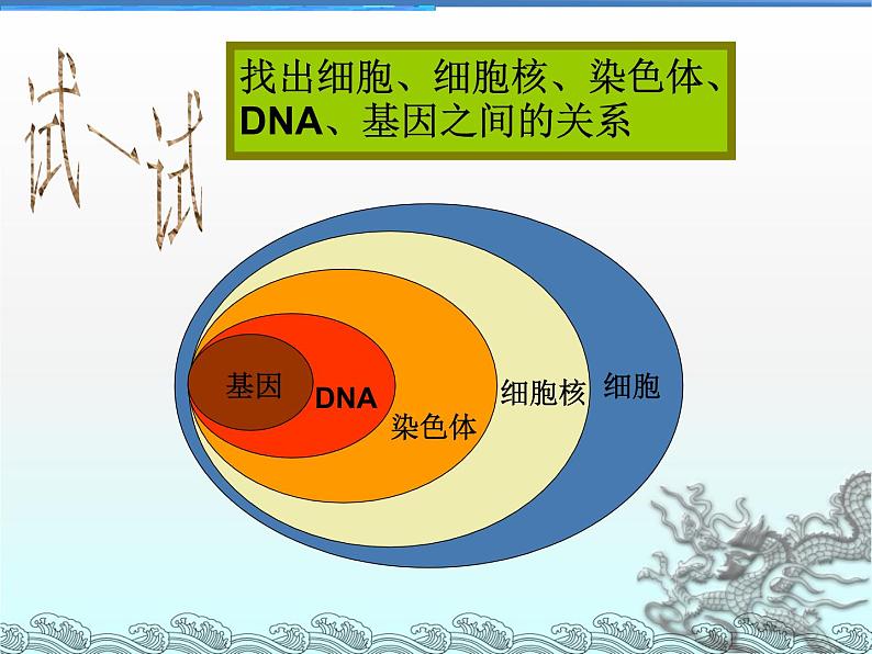 苏教版八年级下册生物 24.1现代生物技术的应用 课件第5页