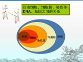 苏教版八年级下册生物 24.1现代生物技术的应用 课件