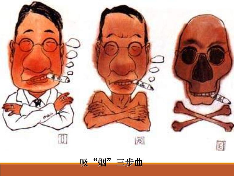 苏教版八年级下册生物 26.2拒绝毒品 课件第3页