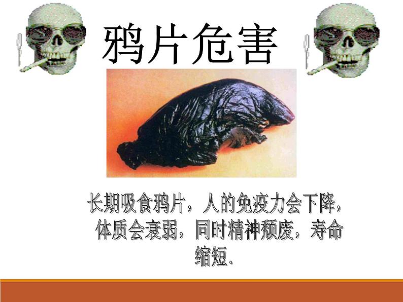 苏教版八年级下册生物 26.2拒绝毒品 课件第7页