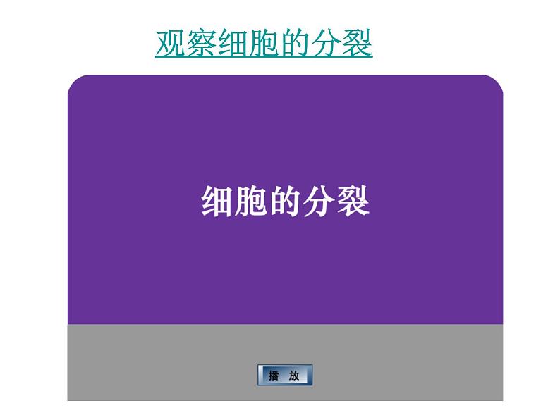 苏科版七年级下册生物 8.2细胞的分裂和分化 课件04