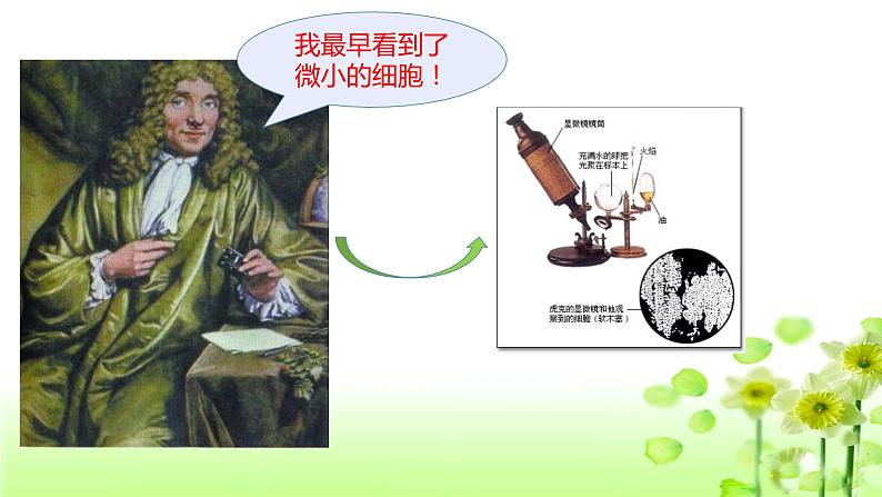 苏科版七年级下册生物 8.1生物体的基本结构 课件第6页