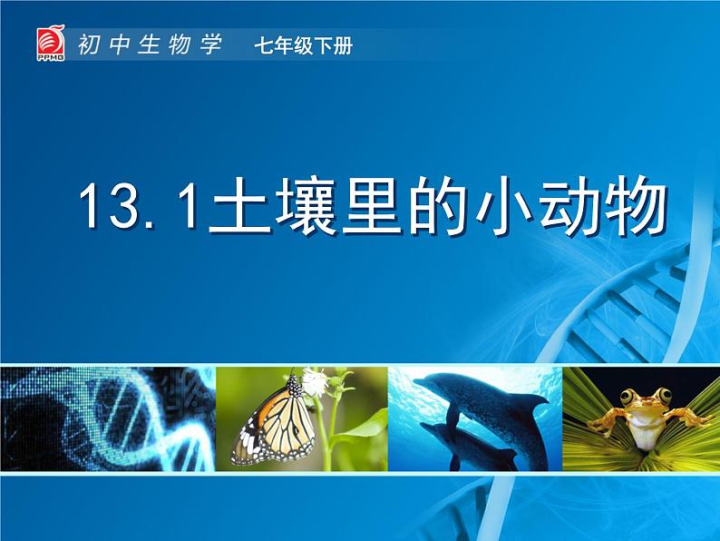 苏科版七年级下册生物 13.1土壤里的小动物 课件第1页