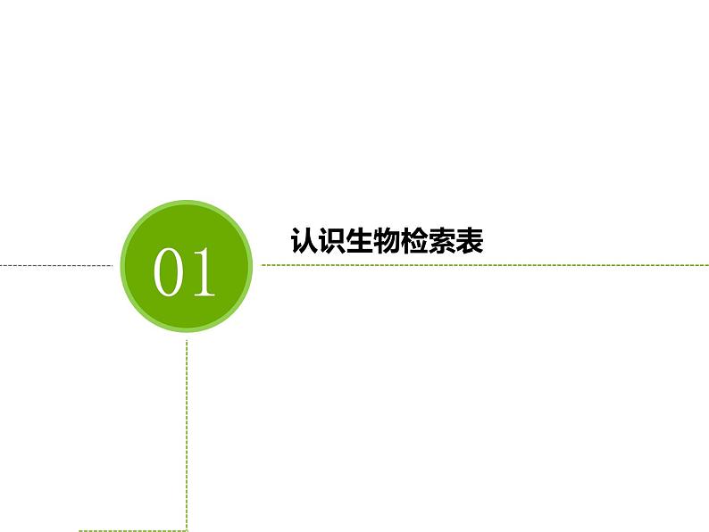 苏科版七年级下册生物 14.2生物检索表 课件第2页