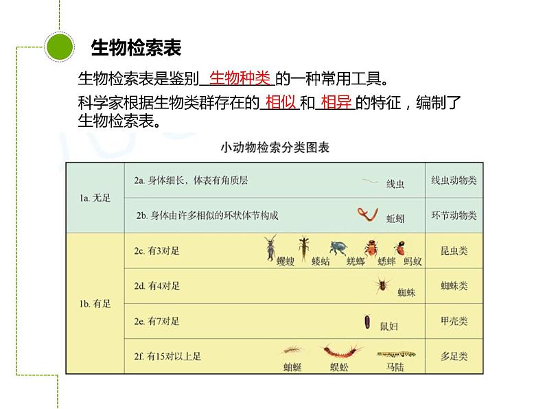 苏科版七年级下册生物 14.2生物检索表 课件第3页