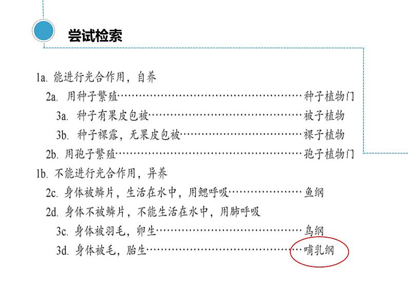 苏科版七年级下册生物 14.2生物检索表 课件第7页