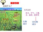 苏科版八年级下册生物 26.2保护生物多样性 课件