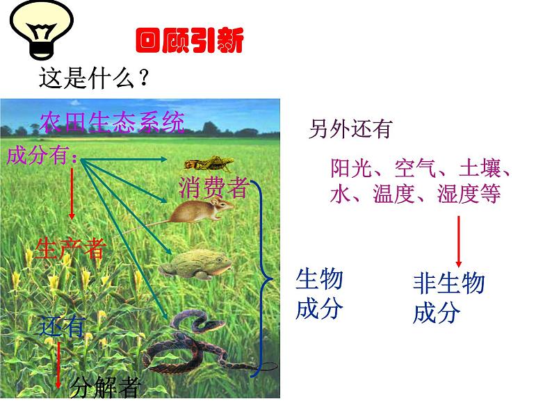 苏科版八年级下册生物 26.2保护生物多样性 课件05