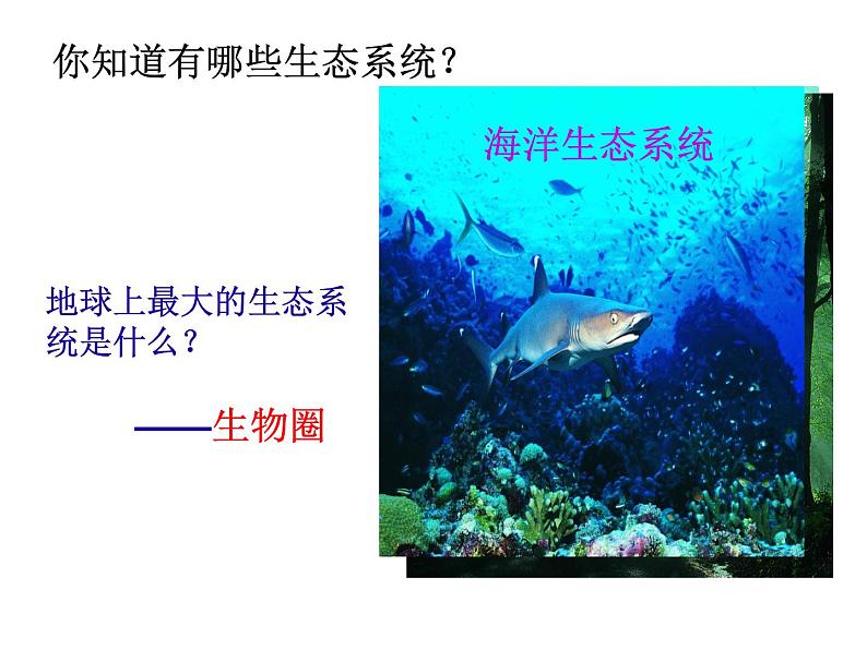 苏科版八年级下册生物 26.2保护生物多样性 课件06