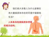苏科版八年级下册生物 24.1人体的免疫防线 课件