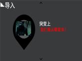 苏科版八年级下册生物 23.4人类的起源和进化 课件