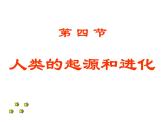 苏科版八年级下册生物 23.4人类的起源和进化 课件