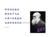 苏科版八年级下册生物 23.4人类的起源和进化 课件