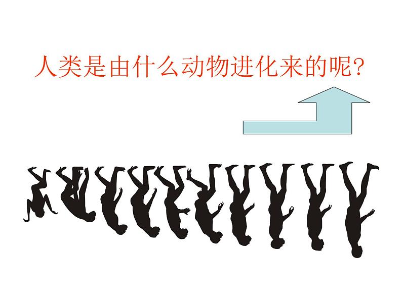 苏科版八年级下册生物 23.4人类的起源和进化 课件第8页