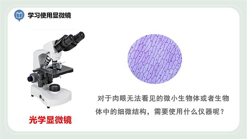 1.2生物学的基本研究方法第2课时（课件）第3页