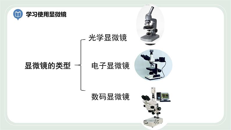 1.2生物学的基本研究方法第2课时（课件）第5页