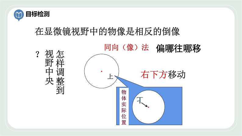 1.2 生物学的基本研究方法 第3课时-七年级生物上册 课件+练习（苏科版）02