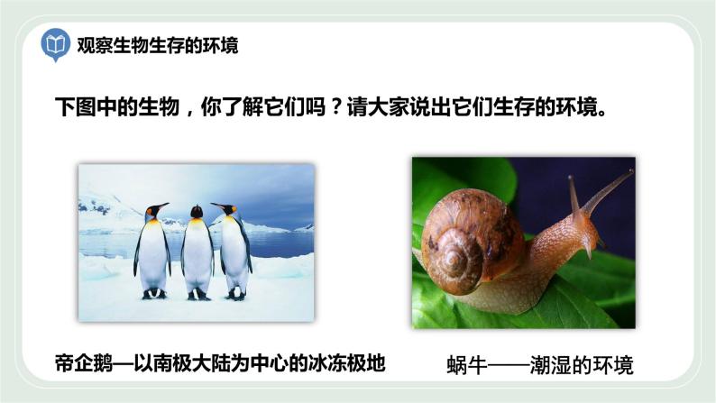 2.1 生物生存的环境-七年级生物上册 课件+练习（苏科版）07