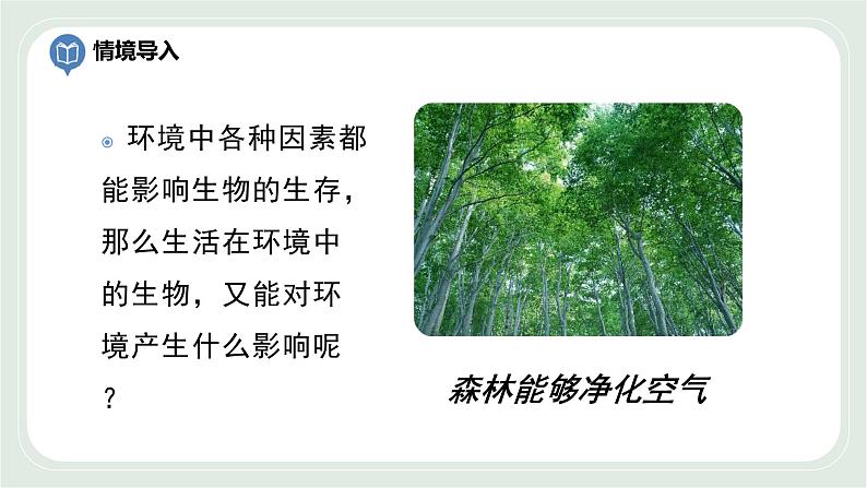 2.3 生物对环境的影响-七年级生物上册 课件+练习（苏科版）05