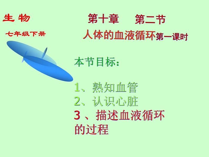 苏教版七年级下册生物 10.2人体的血液循环 课件01