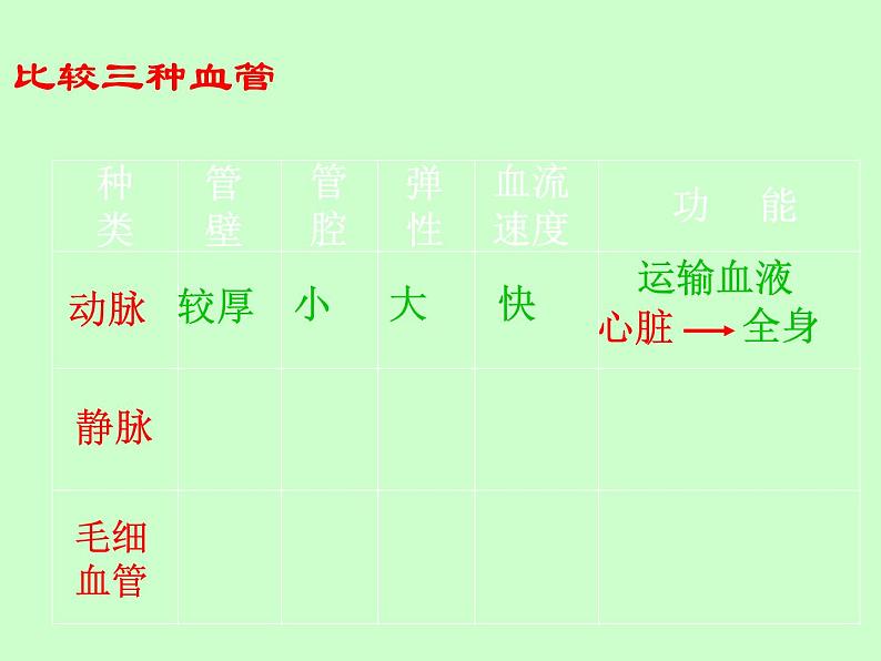 苏教版七年级下册生物 10.2人体的血液循环 课件07