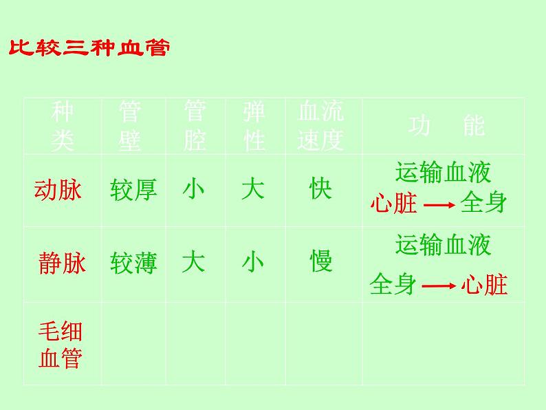 苏教版七年级下册生物 10.2人体的血液循环 课件08