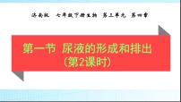 初中生物济南版七年级下册第三单元第四章 人体内废物的排出第一节  尿液的形成和排出示范课课件ppt