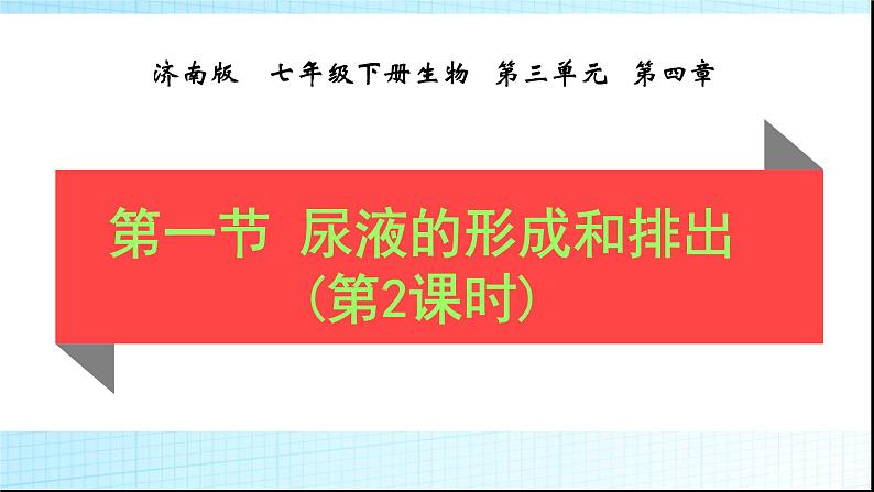 济南版七年级下册生物 4.1尿液的形成和排出 课件第1页